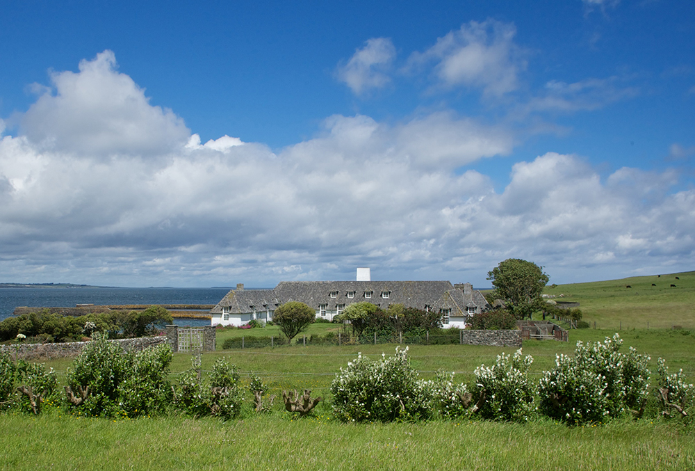 Lambay Food Mo Wilde