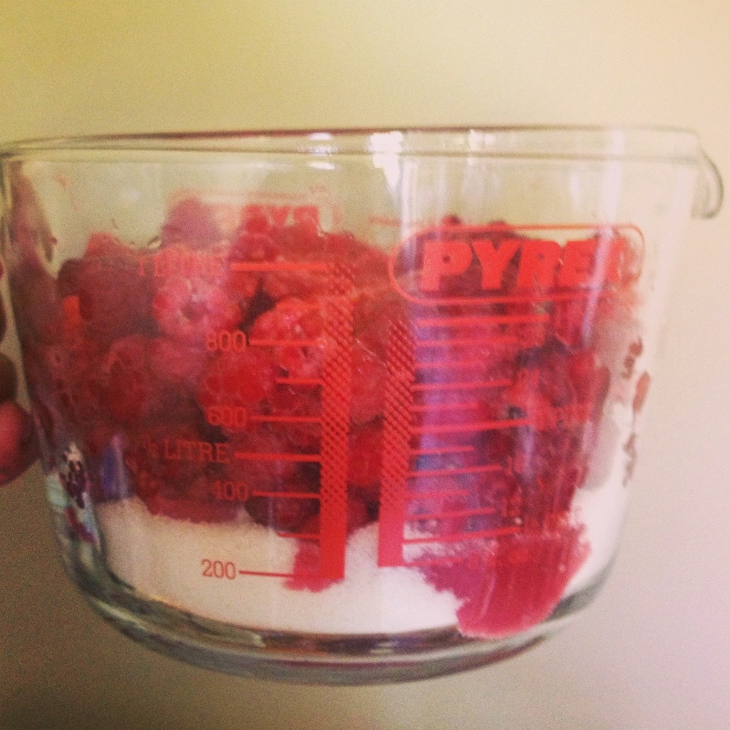 Wild Raspberry Jam - Mo Wilde